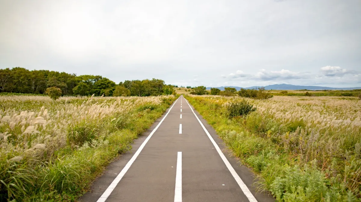 北海道の物流を支えるドライバー派遣の重要性
