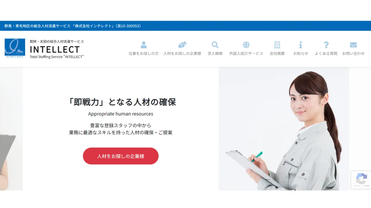 株式会社インテレクト