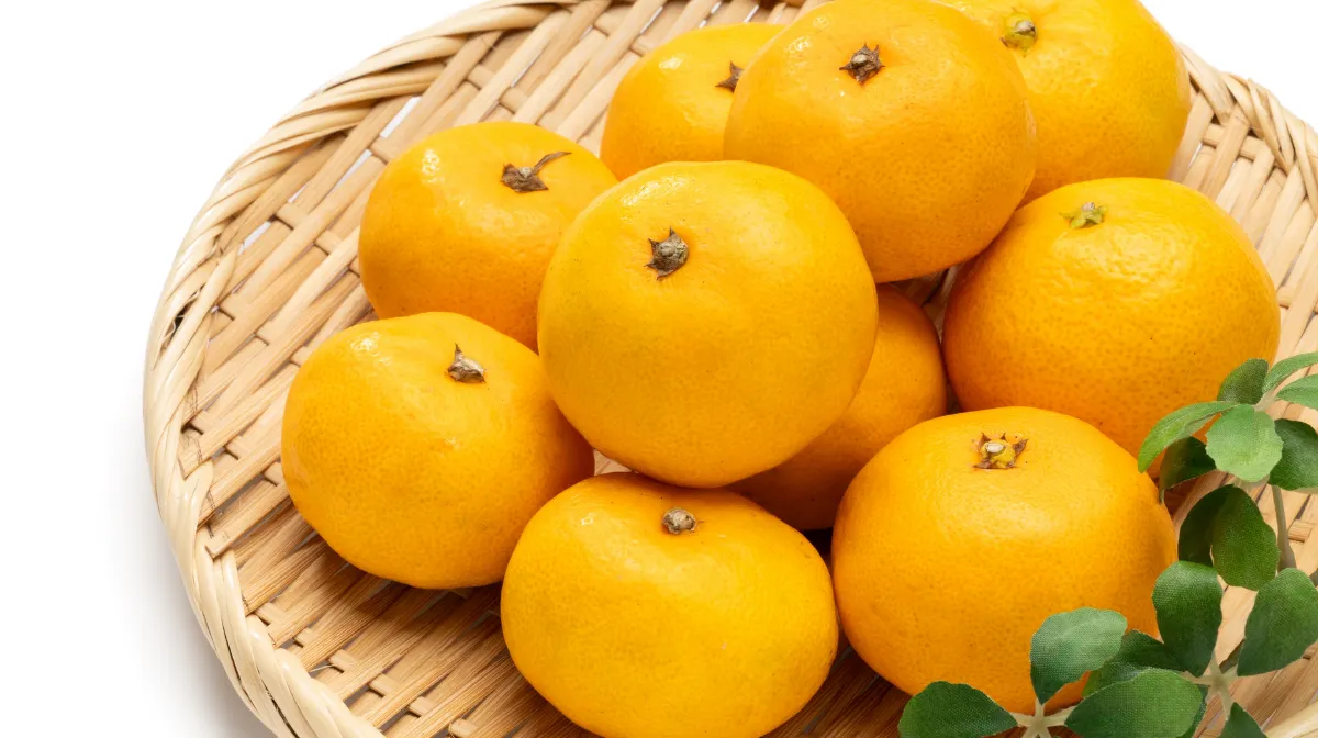 1．和歌山でタクシー運転手として働く「本当の魅力」とは？